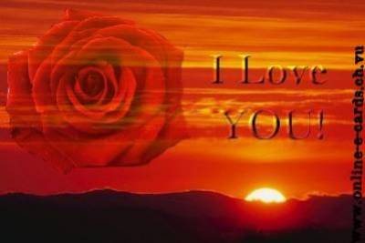 Je t'aime...